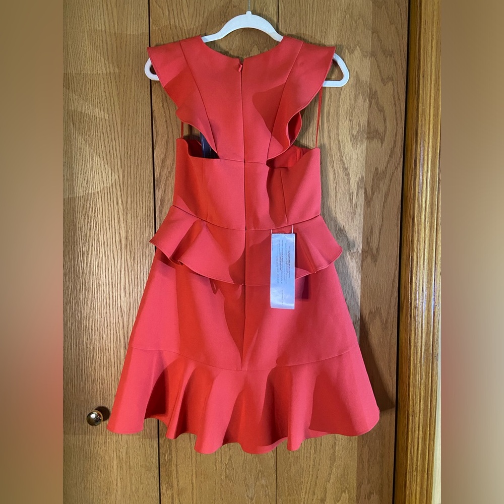 BCBGMaxAzria Red Ruffle Mini Dress - Picture 3 of 9